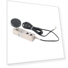 Тензометрический датчик нагрузки — Крановые весы, Painter