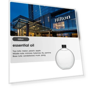 Умная машина для ароматерапии — Спрей, OFFICE-MALL