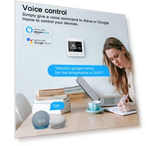Интеллектуальный контроллер постоянной температуры — Программируемые термостаты, Painter