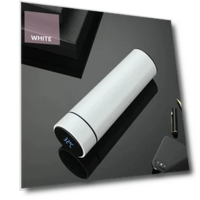 Умная бутылка для воды с дисплеем температуры — Термосы, Super Dream Home