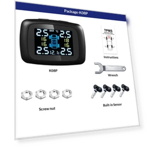 Автомобильная система контроля давления в шинах с интеллектуальным дисплеем — Дополнительные системы, E-ACE