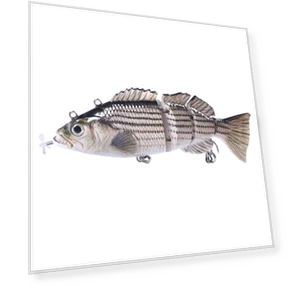 Роботизированная рыболовная приманка — Искусственные приманки, leayond