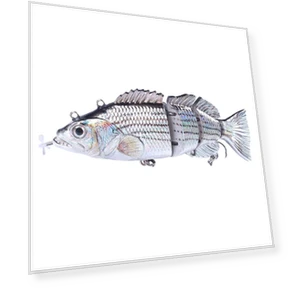 Роботизированная рыболовная приманка — Искусственные приманки, leayond