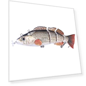 Роботизированная рыболовная приманка — Искусственные приманки, leayond