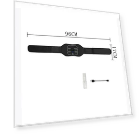 Умный пояс-массажер для талии — Массажеры для спины, TrendVibeCN