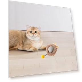 Автоматическая игрушка-мяч — Автоматические пусковые устройства для мячей, Closet of Beauty