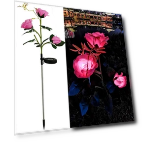 Светодиодные фонари в виде розы — Гирлянды и светодиодные ленты, Smart Mouse