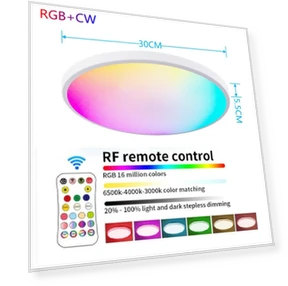 Умный светодиодный потолочный светильник для скрытого монтажа — Светодиодные, RuKing