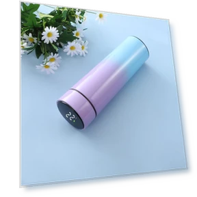 Интеллектуальный термос из нержавеющей стали с дисплеем температуры — Подогреватели напитков, TOP HOME-002