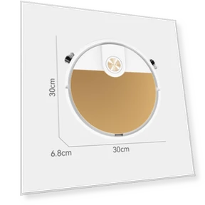 Подметающий робот — Роботы-пылесосы, Winter Gloves