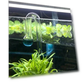 Диффузная проверка Co2 для аквариума — Гидрометры, SURTOP