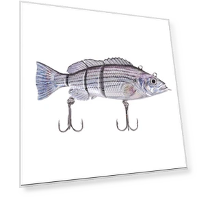 Электронный робот-рыба — Ловушки для приманок, Luminaire Lighting Mall