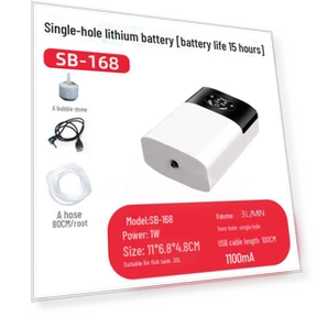 Бесшумный двухцелевой кислородный насос — Воздушные насосы, WoW Home