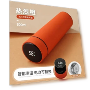 Термос с интеллектуальным дисплеем — Термосы, Garden Supplies My