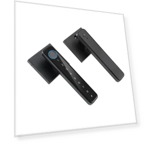 Биометрический дверной замок — Биометрия, AE Selection