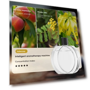 Настольный диффузор — Диффузоры, HOME-Auto-001