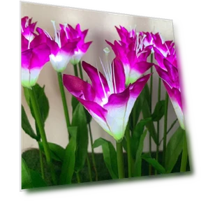 Водонепроницаемый светодиодный светильник для сада с лилиями — Прожекторы и охранное освещение, AI Supermarket