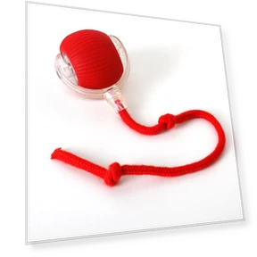 Автоматический электрический мяч для кошек — Игрушки для питомцев, Family Circle