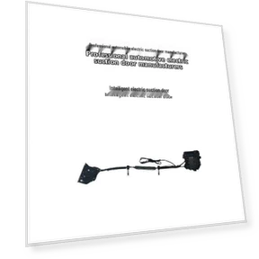 Электрический доводчик двери — Пена, GearUp AutoMoto