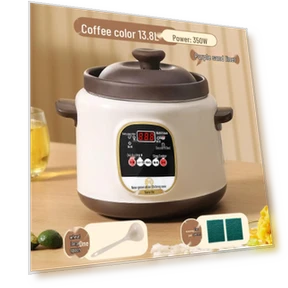 Полностью автоматическая многофункциональная электрическая мультиварка — Пена, TrendVibeCN