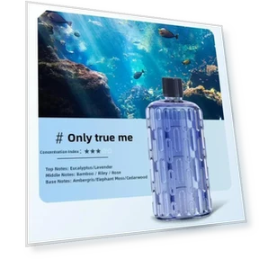 Умный арома-спрей, мини-диффузор ароматов, USB-устройство для распыления эфирных масел, дезодорация и очистка воздуха в... — Аналитические реагенты, KITCHEN-MALL