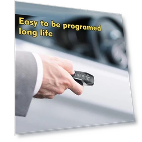 Умный ключ-брелок с дистанционным управлением для автомобиля — Системы безключевого доступа, Automotiveassemblycomponents