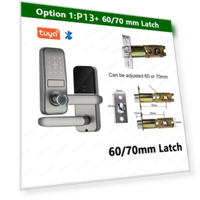 Умный замок Tuya Bluetooth — Домашние системы безопасности, RAYKUBE