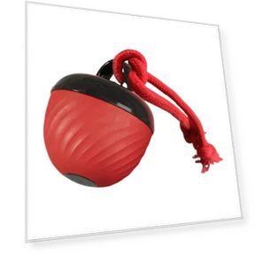 Интерактивный мяч для собак — Электронные питомцы, Love Pet House