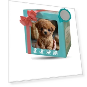 Робот-Собака — Управляемые игрушки и роботы, hayatospeed