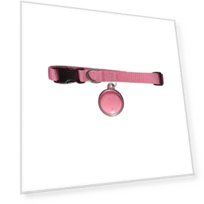 GPS-ошейник для кошки — Трекеры, Clothing kaleidoscope