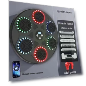 Умная стена для бокса — Тренировочные лапы, SportSurge