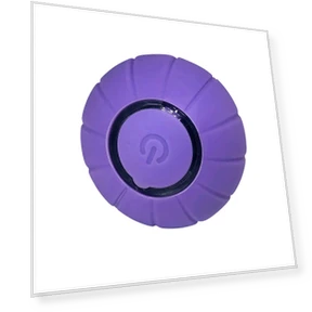 Умная интерактивная игрушка для кошек — Игрушки для питомцев, Serene Homes