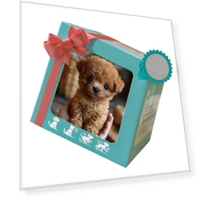 Интерактивная плюшевая игрушка-робот-собака с реалистичными движениями и имитацией лая — Интерактивные игрушки, Scorpio