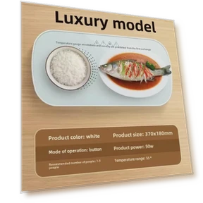 Многофункциональный подогреваемый поднос — Чайники и чайные машины, StrideBox