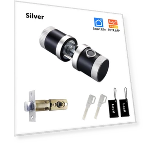 Умный замок с отпечатком пальца — Биометрия, RAYKUBE