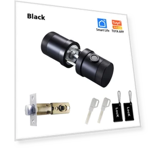 Умный замок с отпечатком пальца и кодовым доступом — Электромагнитные замки, RAYKUBE