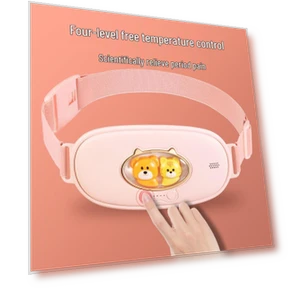 Умный согревающий массажер для поясницы — Средства для реабилитации и терапии, PASTSKY