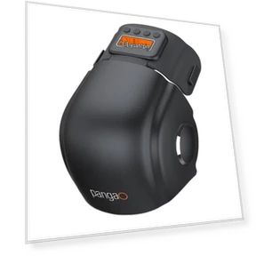 Умный массажер для коленей — Средства для реабилитации и терапии, Pango