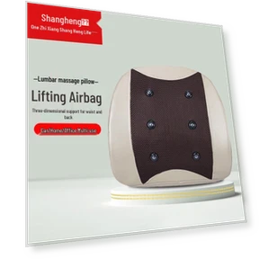Умный массажер для поясницы — Средства для реабилитации и терапии, Shangheng