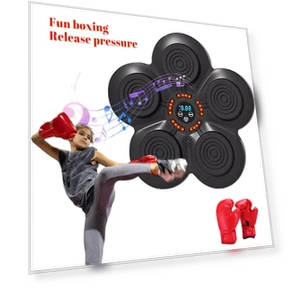 Умный боксерский тренажер с Bluetooth и светодиодной подсветкой — Фитнес-оборудование, Mode Closet