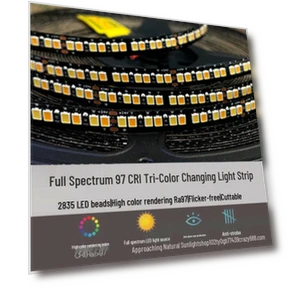 Светодиодная умная лента — LED ленты, Chose One