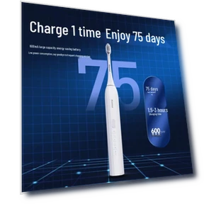 Умная электрическая зубная щётка с ультразвуковой технологией — Звуковые зубные щетки, Roman