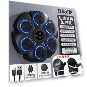 Взрослая умная подвесная боксерская груша, детский тренажер, домашняя настенная мишень — Оборудование для боксерских залов, Fabul11ous