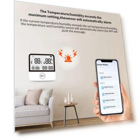 Монитор температуры и влажности с Wi-Fi — Комнатные термометры, mfySpace