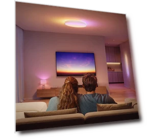 Потолочный светильник — Потолочные светильники, Govee