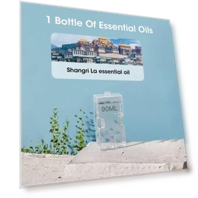 Автоматический сенсорный аромадиффузор с ночником — Электрические, Aura Living