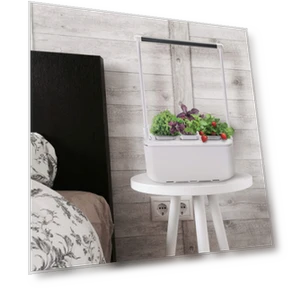 Умный сад для гидропоники — Лампы для растений, Назад к истокам