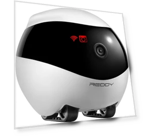 Умный робот-друг — Роботы для безопасности и наблюдения, Red Solution