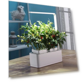 Умный сад с подсветкой — Лампы для растений, Назад к истокам