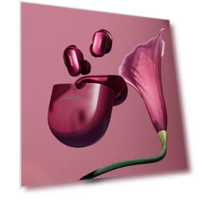 Беспроводные наушники с шумоподавлением — Внутриканальные наушники, Bose